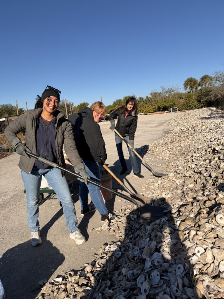 Madilynn, Heather, Lisa shoveling oyster shells